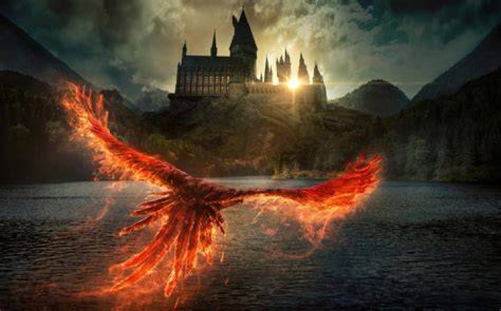 Unraveling the Life and Legacy of Harry Bring