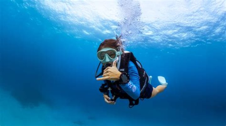 Unveiling the World of RayneyShark: A Dive into the Unconventional